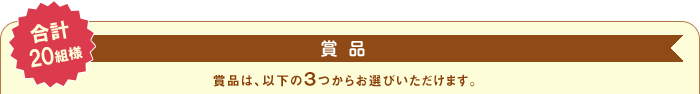 ���v20�g�l��