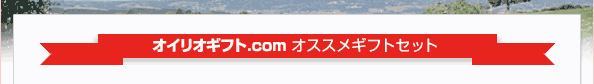 �I�C���I�M�t�g.com�@�I�X�X���M�t�g�Z�b�g